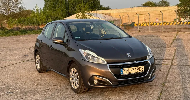 lubuskie Peugeot 208 cena 39900 przebieg: 51160, rok produkcji 2019 z Szczecin